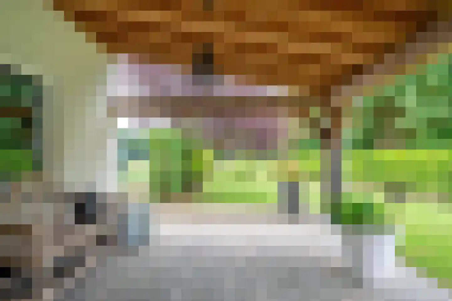 Elmpterbaan 10 A Swalmen thumbnail 92