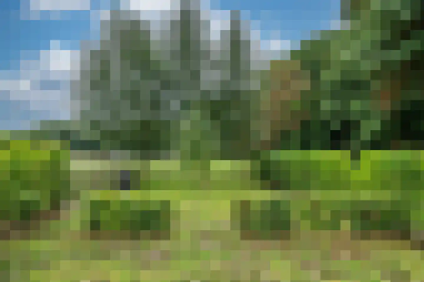 Elmpterbaan 10 A Swalmen thumbnail 95