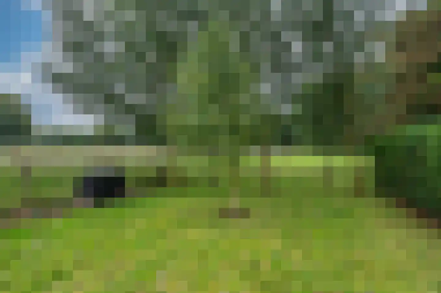 Elmpterbaan 10 A Swalmen thumbnail 96