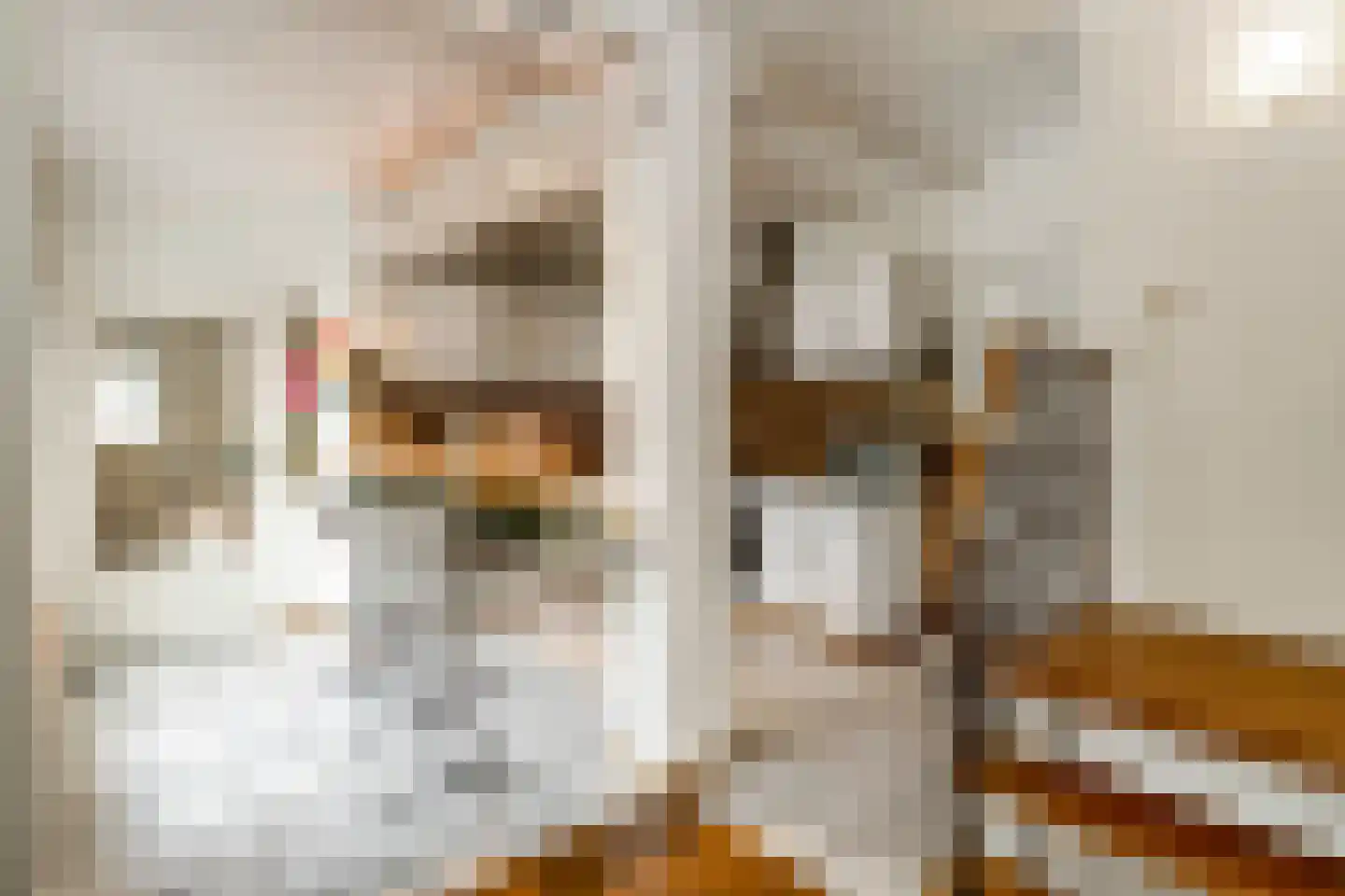 Elmpterbaan 5 Swalmen thumbnail 14
