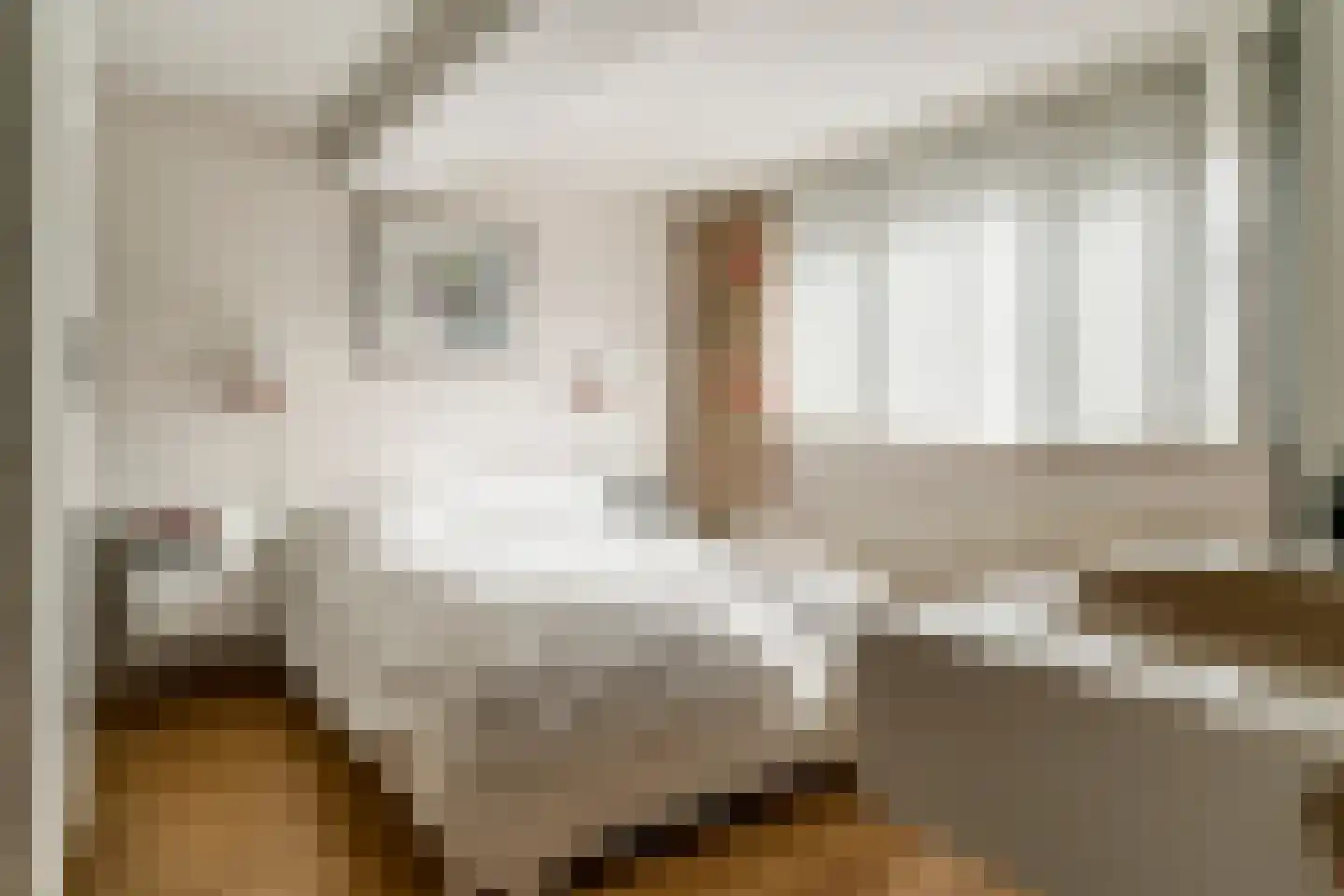 Elmpterbaan 5 Swalmen thumbnail 16