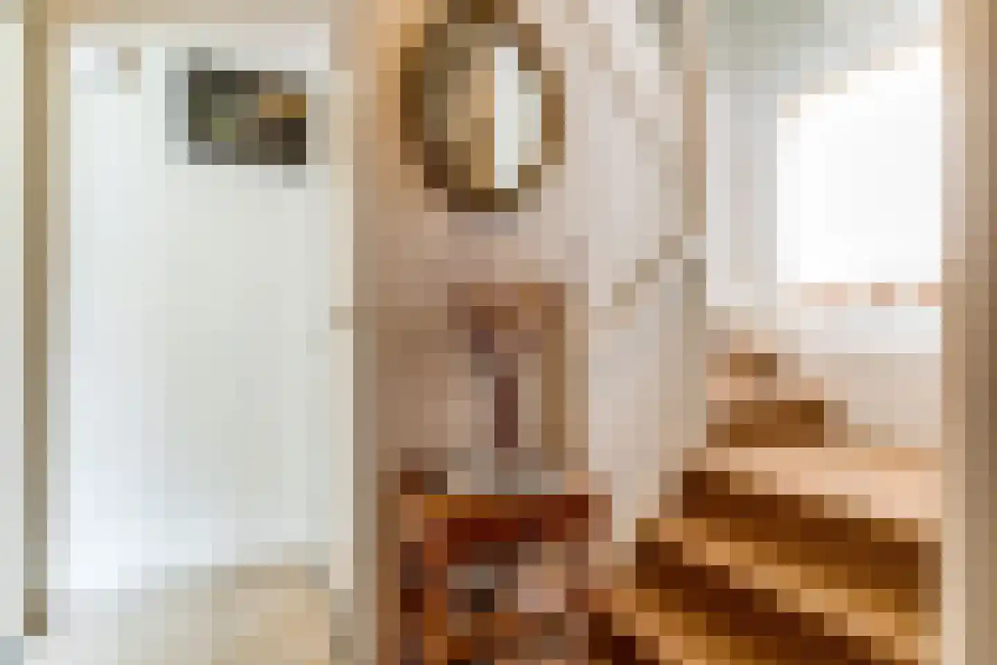 Elmpterbaan 5 Swalmen thumbnail 4
