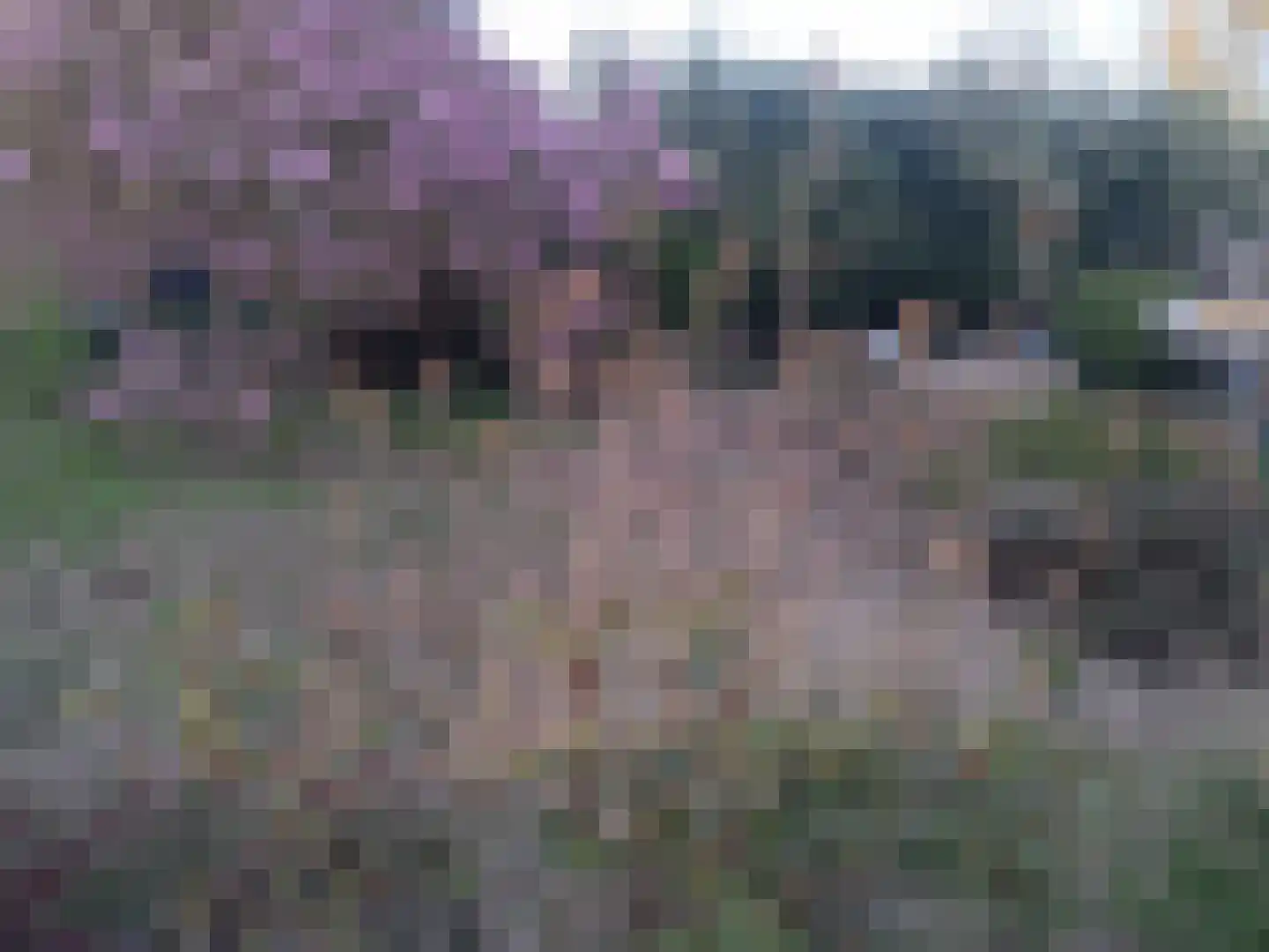 Elmpterbaan 5 Swalmen thumbnail 4