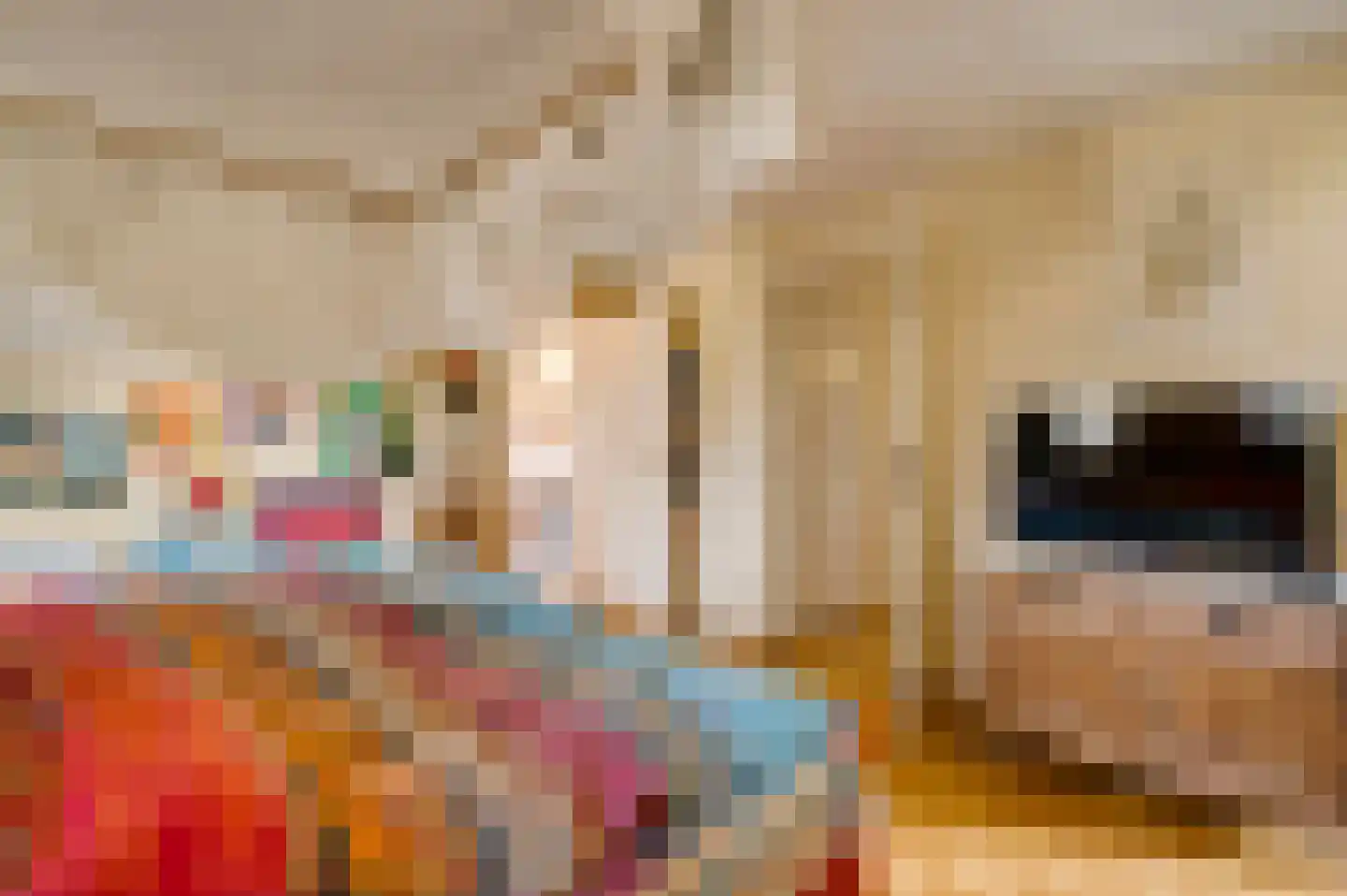 Elmpterweg 46 B Roermond thumbnail 14