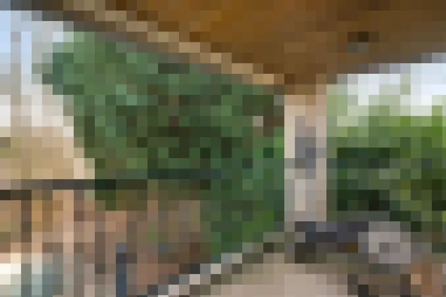 Elmpterweg 46 B Roermond thumbnail 17