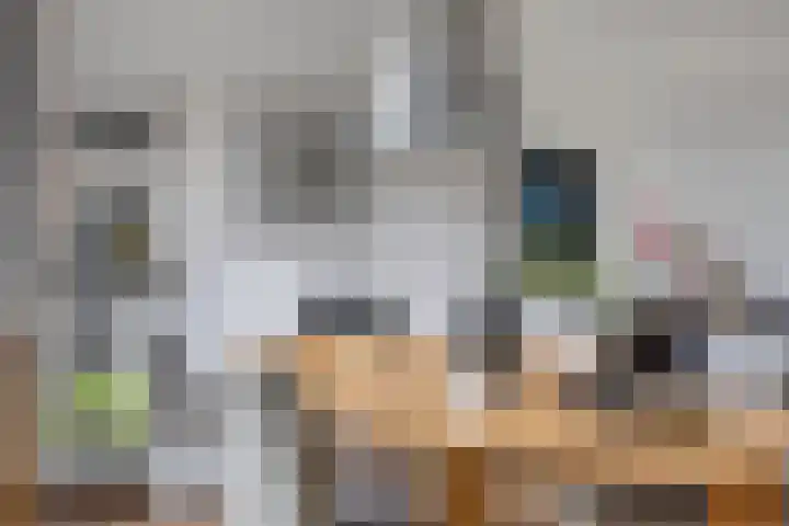 Eloystraat 1 G Geleen thumbnail 16