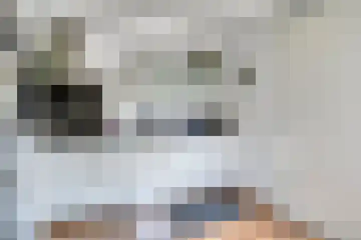 Eloystraat 1 G Geleen thumbnail 17