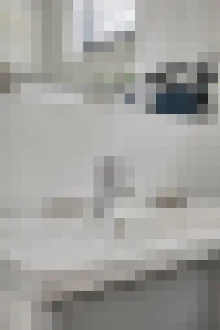 Eloystraat 1 G Geleen thumbnail 25