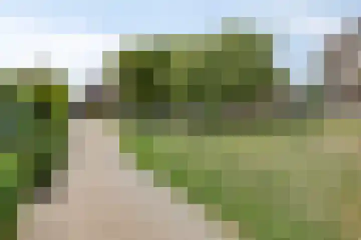 Eloystraat 1 G Geleen thumbnail 43