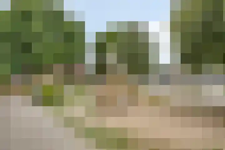 Eloystraat 1 G Geleen thumbnail 45