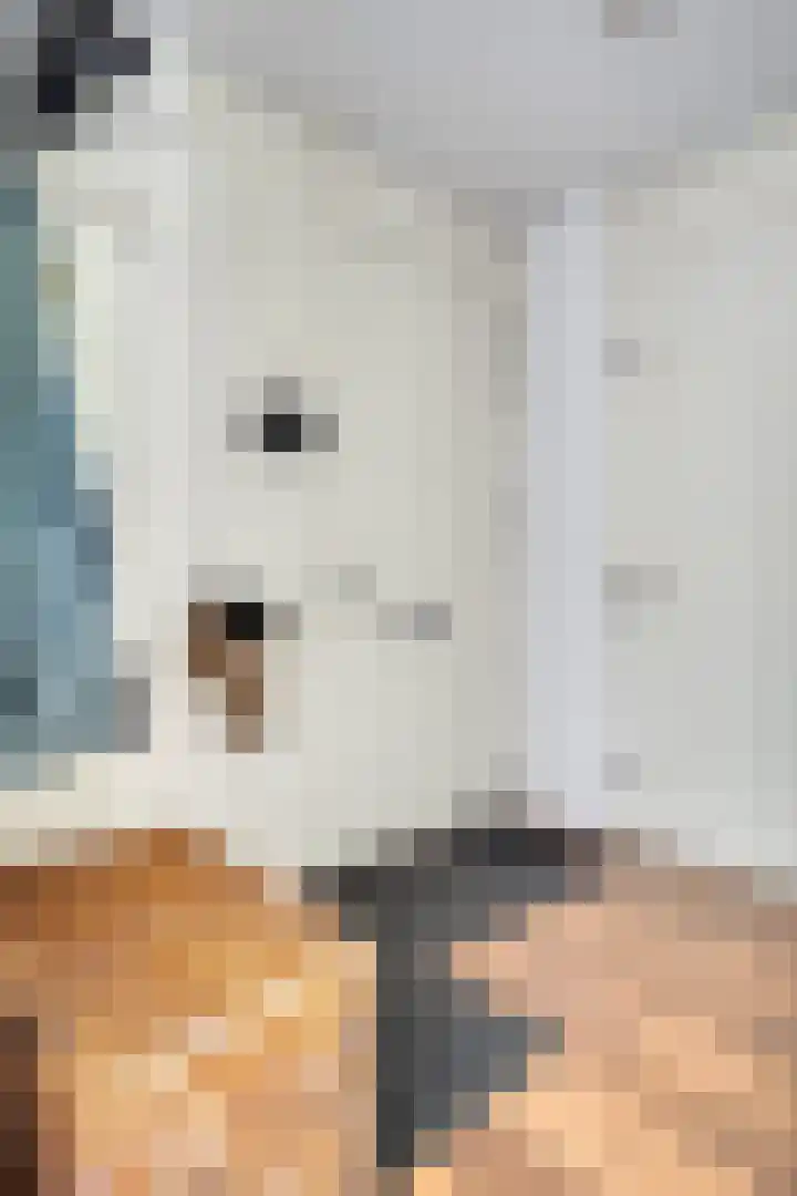 Eloystraat 1 G Geleen thumbnail 6