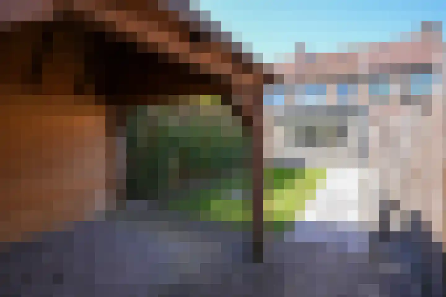 Eloystraat 56 Geleen thumbnail 20