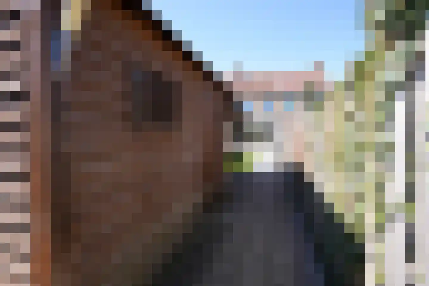 Eloystraat 56 Geleen thumbnail 26