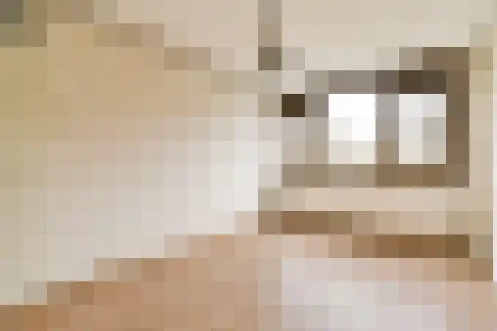 Elpermeer 15 Amsterdam thumbnail 12
