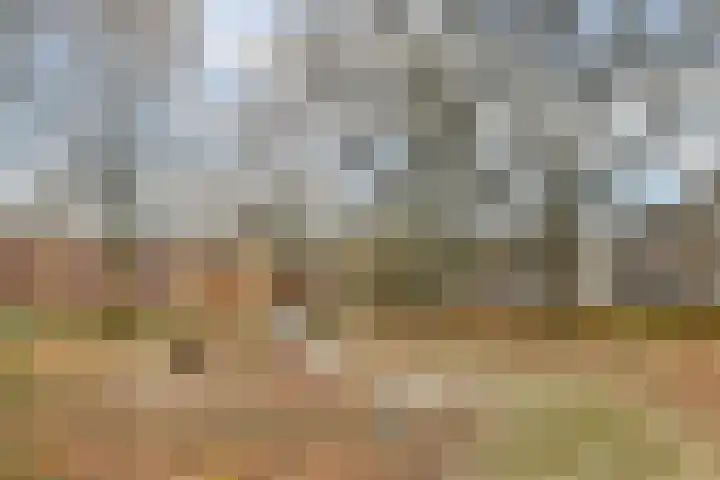 Elpermeer 15 Amsterdam thumbnail 18