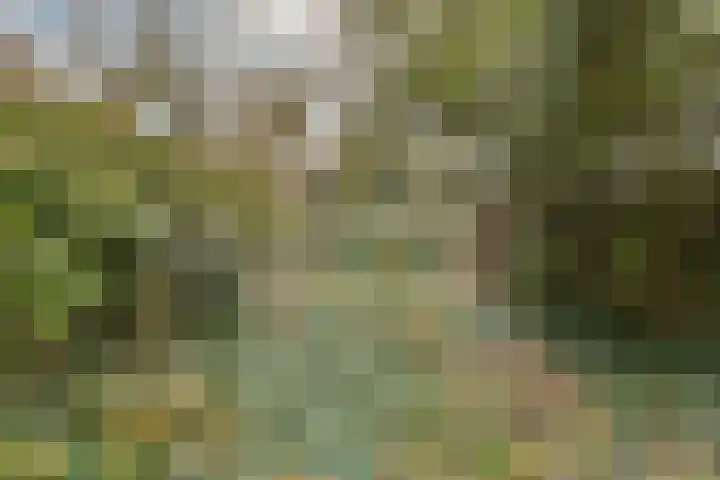 Elpermeer 15 Amsterdam thumbnail 5