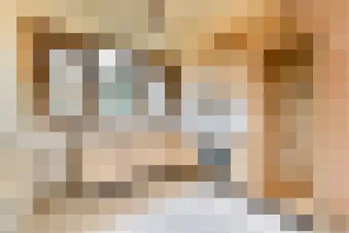 Elpermeer 15 Amsterdam thumbnail 9