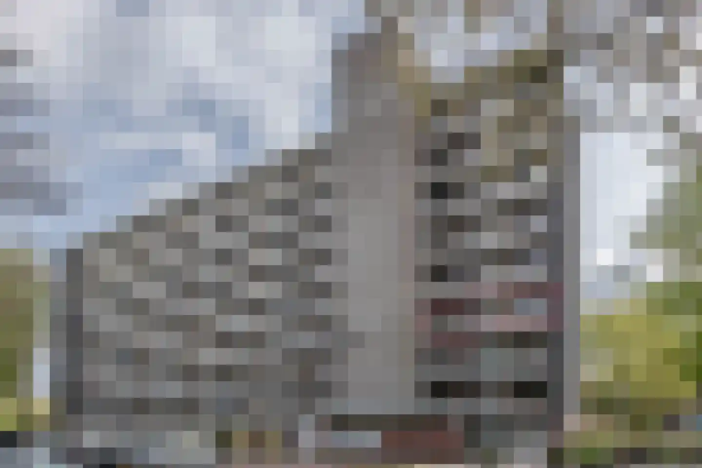 Elpermeer 182 Amsterdam thumbnail 29