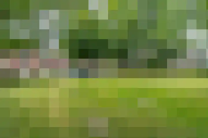 Elpermeer 201 Amsterdam thumbnail 39