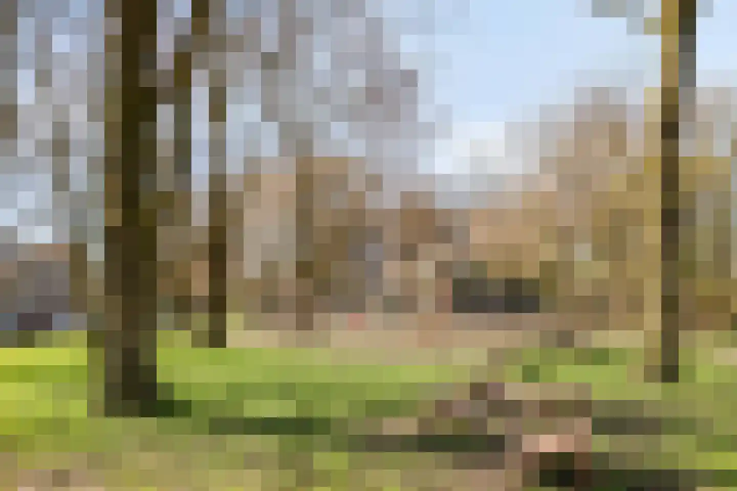 Elpermeer 222 Amsterdam thumbnail 36