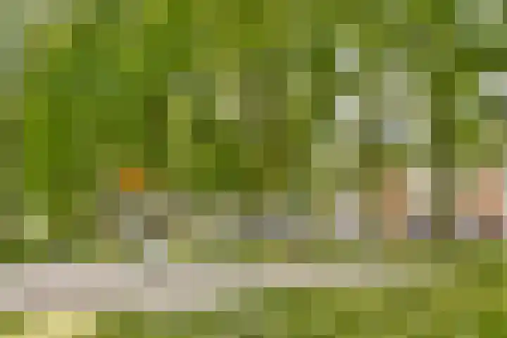 Elpermeer 269 Amsterdam thumbnail 22