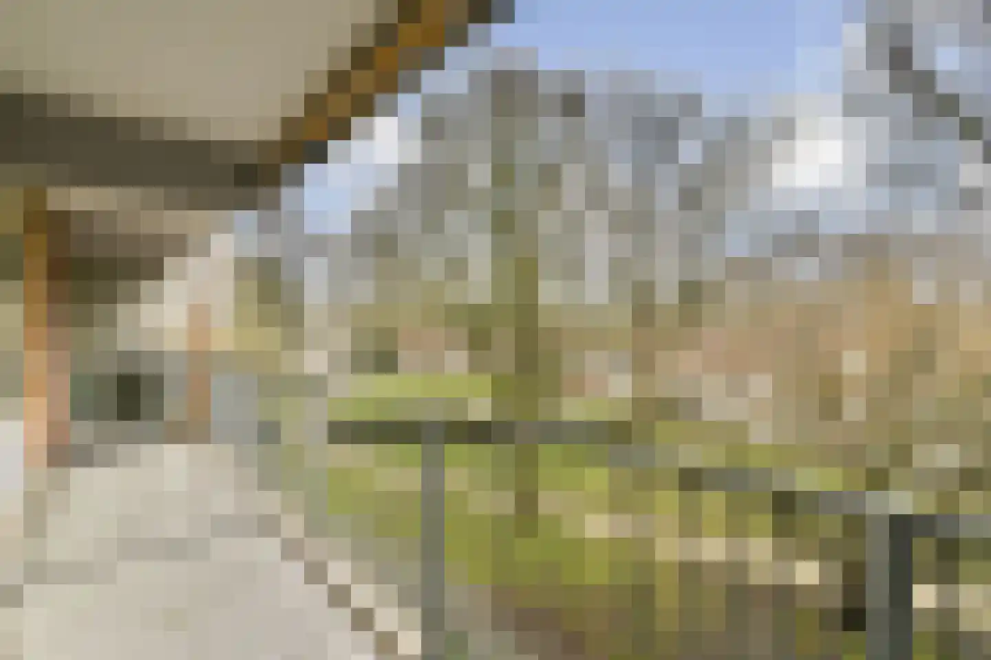 Elpermeer 269 Amsterdam thumbnail 9