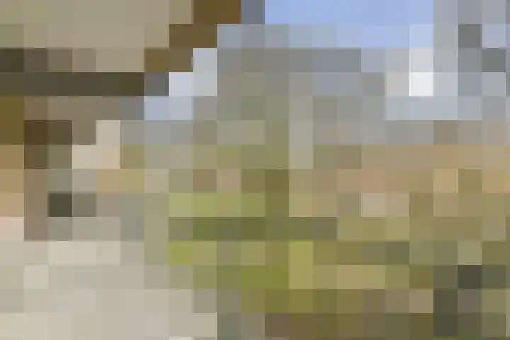 Elpermeer 269 Amsterdam thumbnail 9