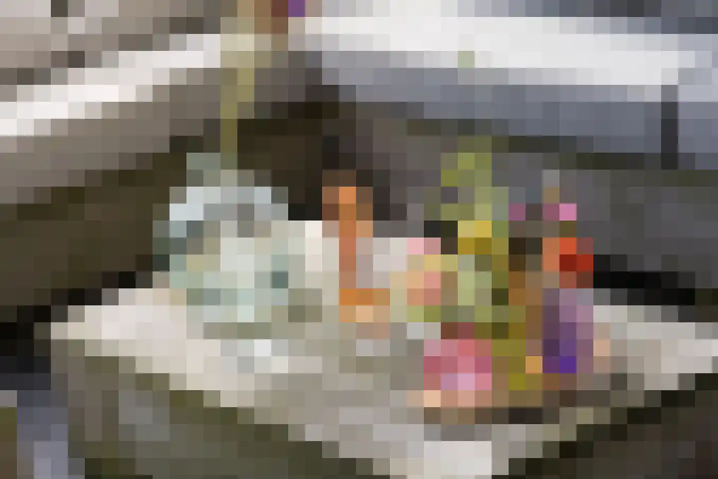 Elperstraat 8 Westerbork thumbnail 37