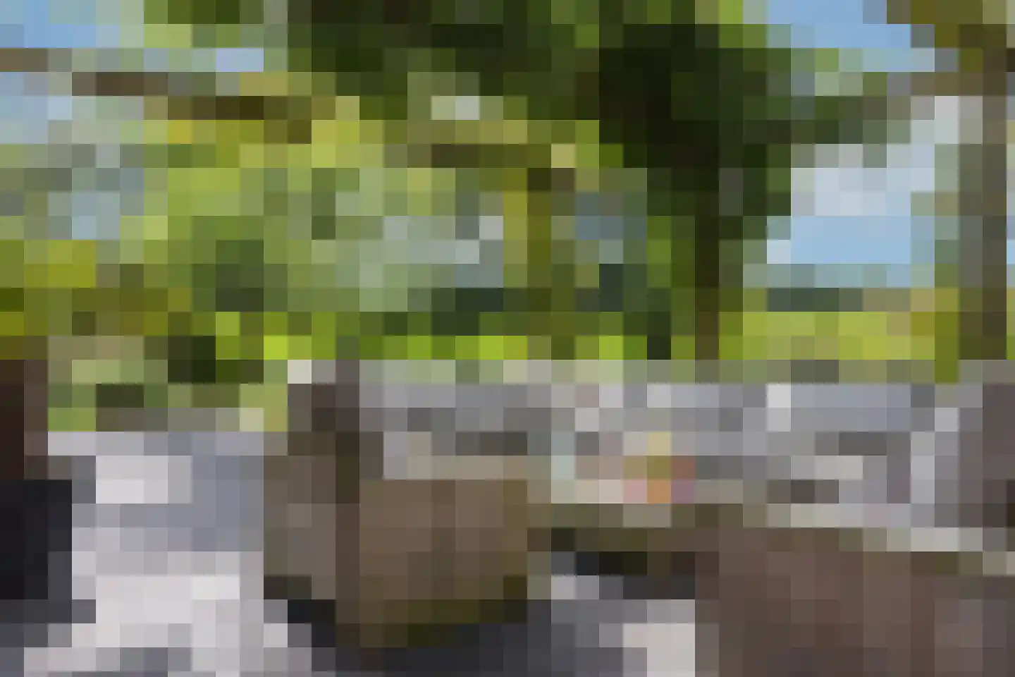 Elperstraat 8 Westerbork thumbnail 38