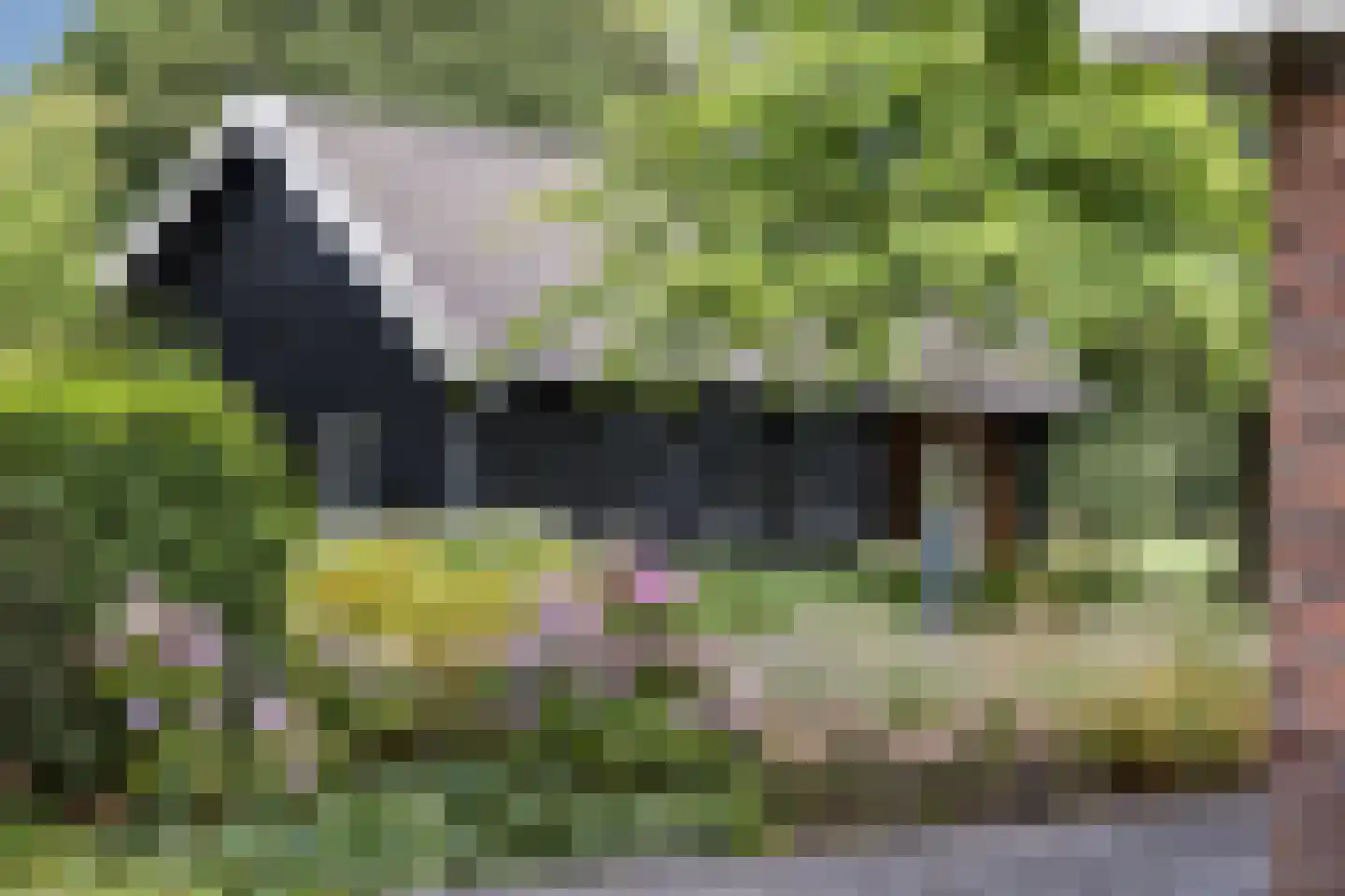 Elperstraat 8 Westerbork thumbnail 40