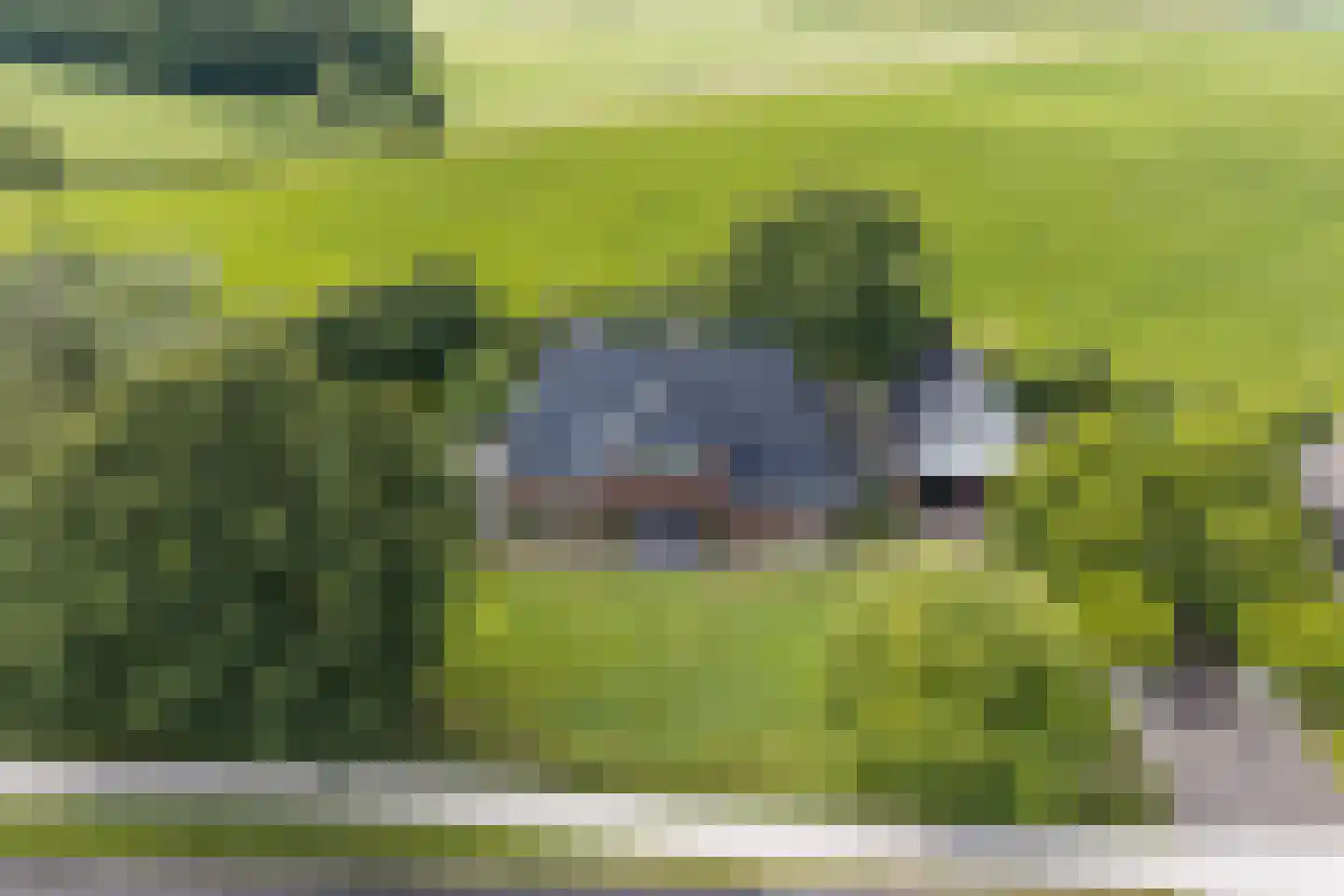Elperstraat 8 Westerbork thumbnail 44