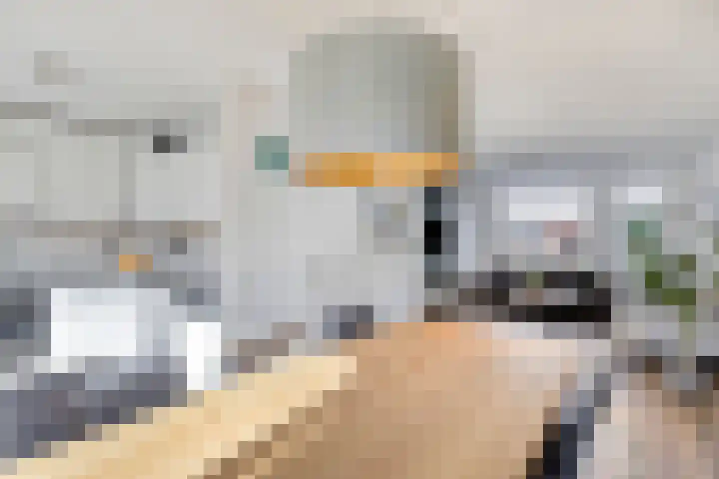 Elrond 15 Geldrop thumbnail 15