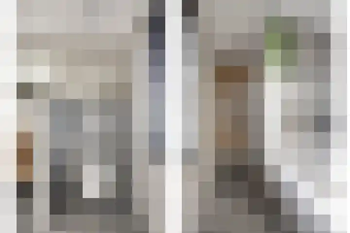 Els 20 Heino thumbnail 34