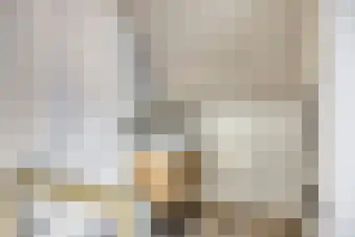 Els 20 Heino thumbnail 36