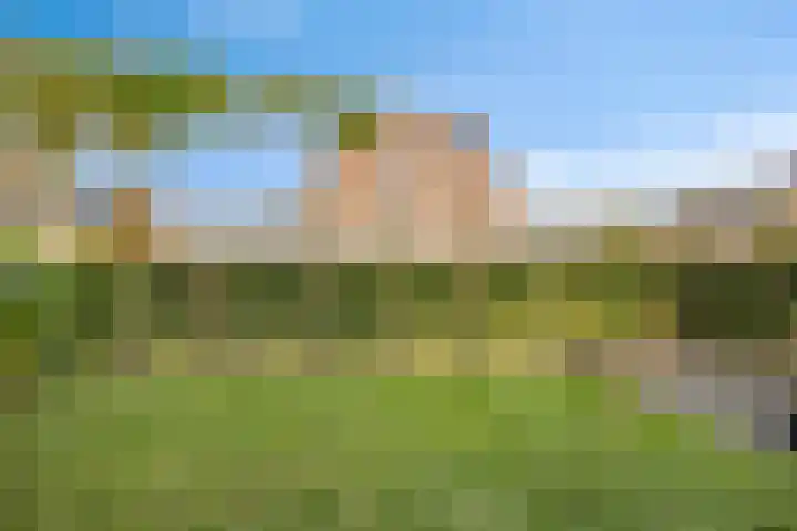 Els 20 Heino thumbnail 41