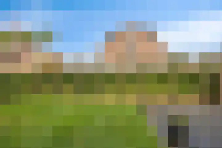 Els 20 Heino thumbnail 42