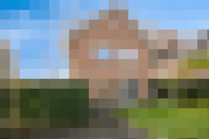 Els 20 Heino thumbnail 43