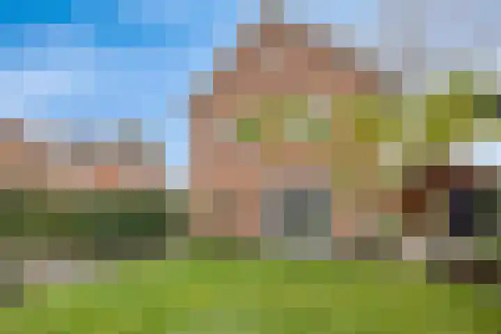 Els 20 Heino thumbnail 44