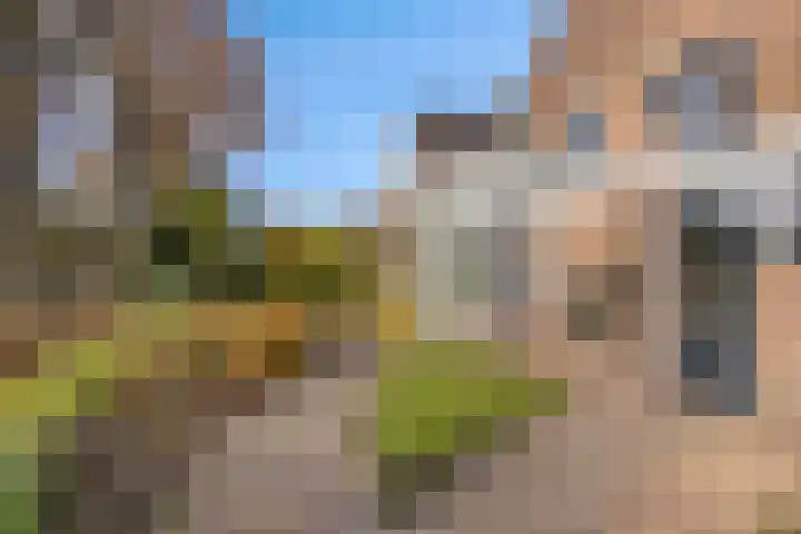 Els 20 Heino thumbnail 46