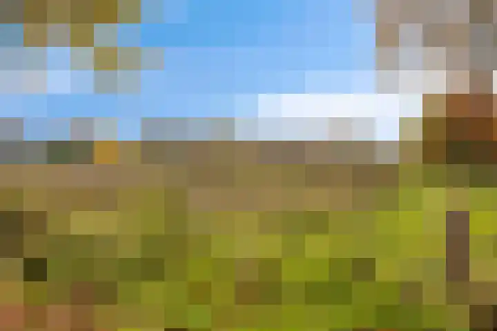 Els 20 Heino thumbnail 50