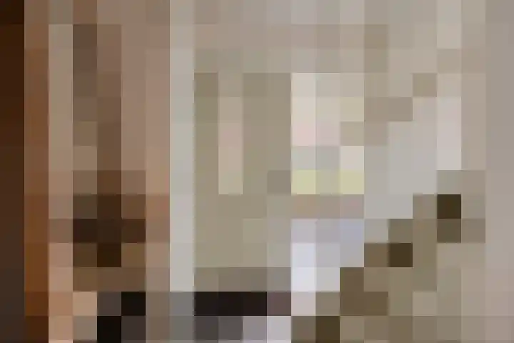 Els 20 Heino thumbnail 8