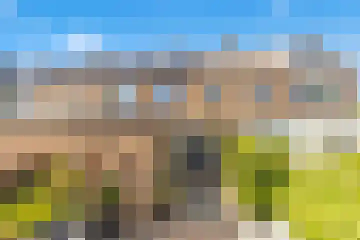 Els 5 Krimpen aan den IJssel thumbnail 13