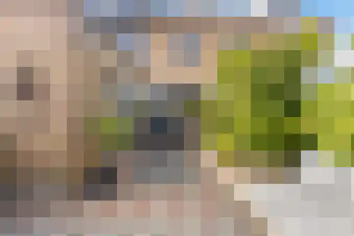 Els 5 Krimpen aan den IJssel thumbnail 14