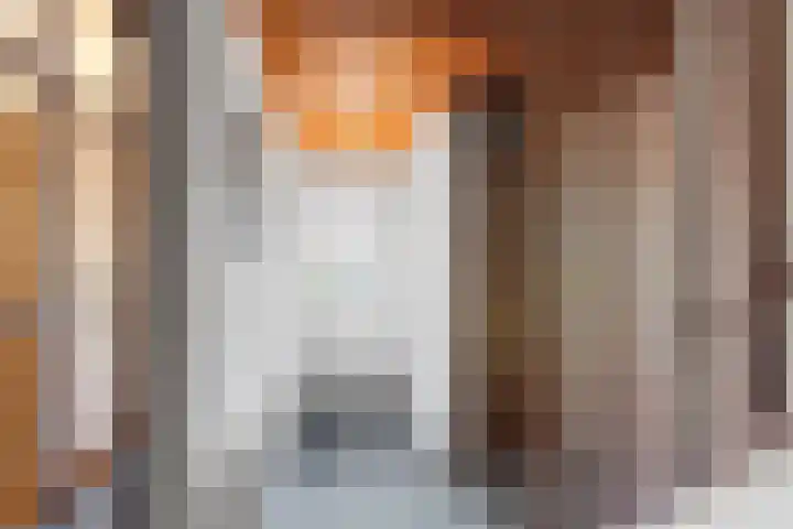 Els 5 Krimpen aan den IJssel thumbnail 16