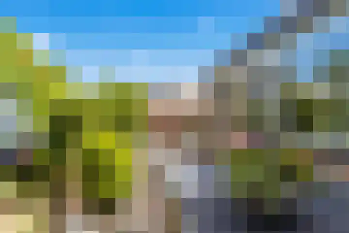 Els 5 Krimpen aan den IJssel foto 2