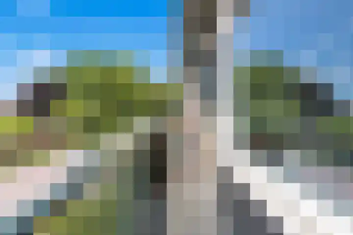 Els 5 Krimpen aan den IJssel thumbnail 20