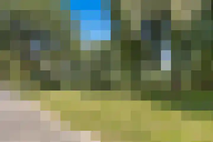 Els 5 Krimpen aan den IJssel thumbnail 35
