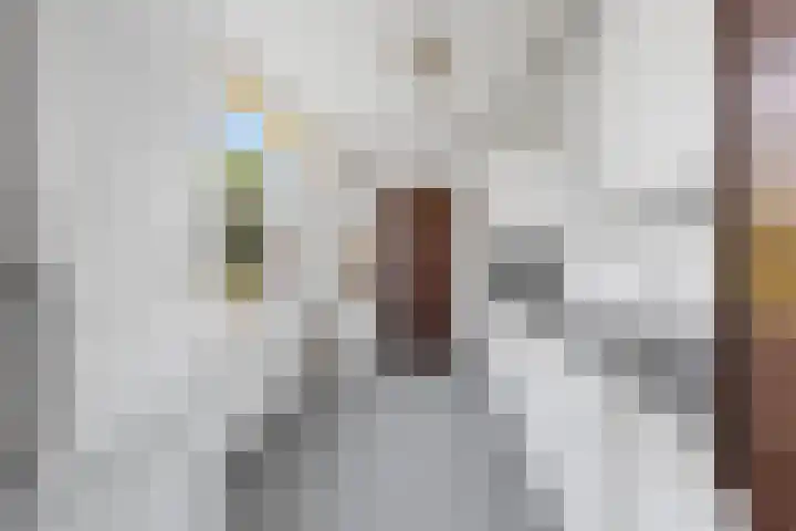 Els 5 Krimpen aan den IJssel thumbnail 9