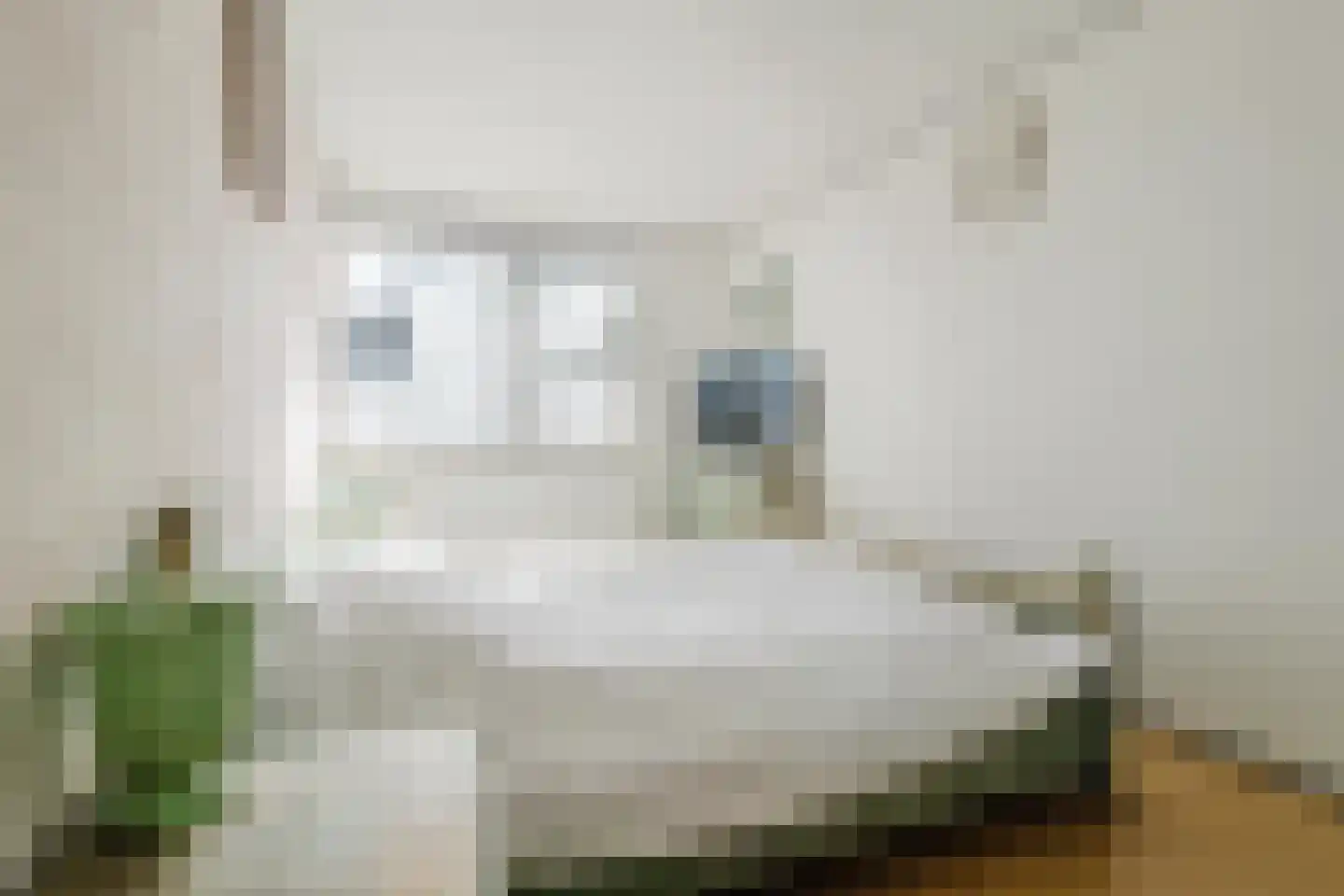 Els 7 Heino thumbnail 14