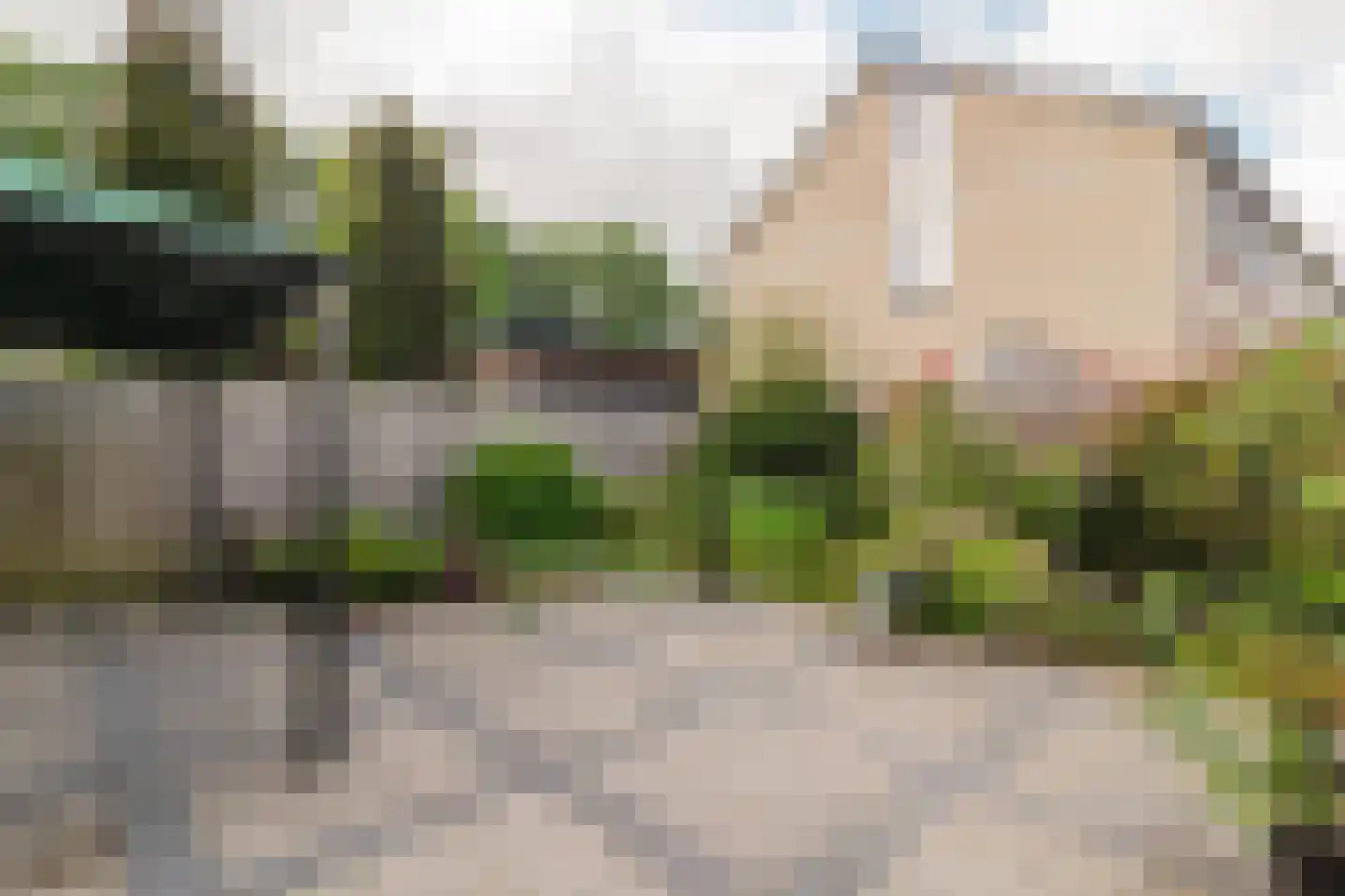 Els 7 Heino thumbnail 22